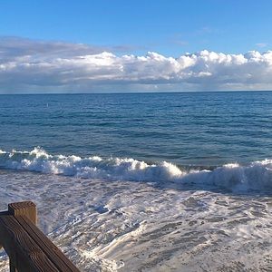 Meet your Posher, Bella